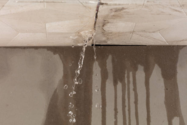 Professional Burst Pipe Cleanup technician working in Spade, TX